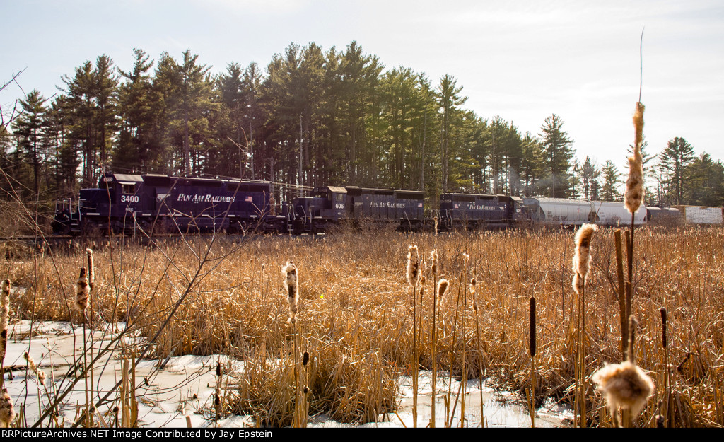 EDPO (East Deerfield to Portland, ME) passes through the swamp at Wagon Wheel 